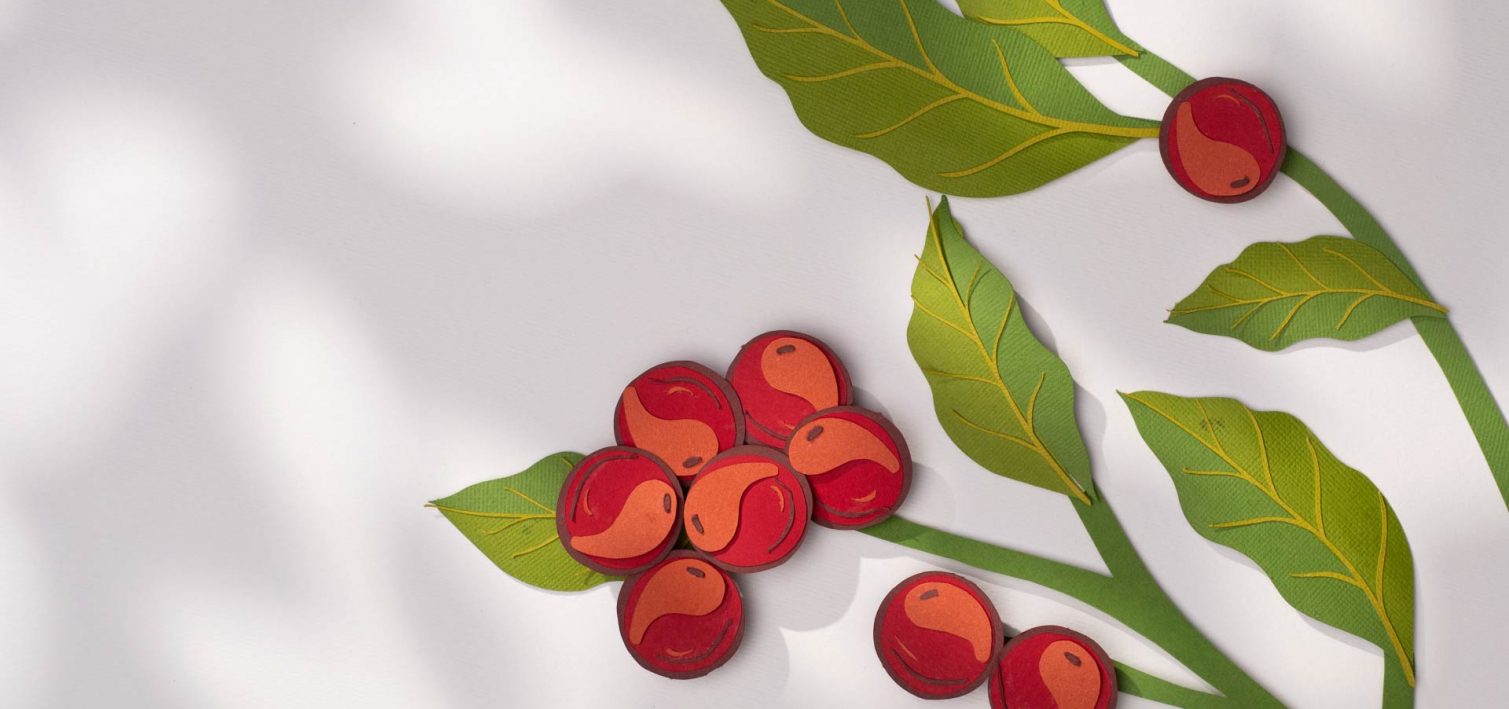 B2C 4_516_9 (0-00-00-19)