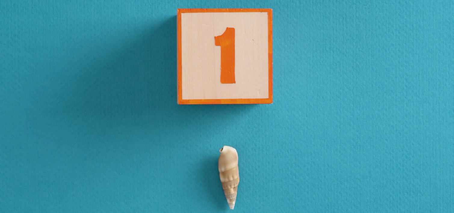 n2