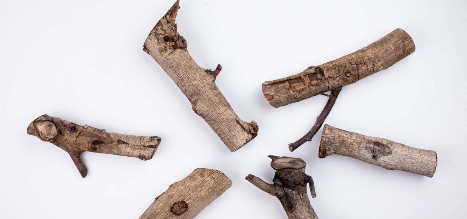 pic from video_0002_Layer 15